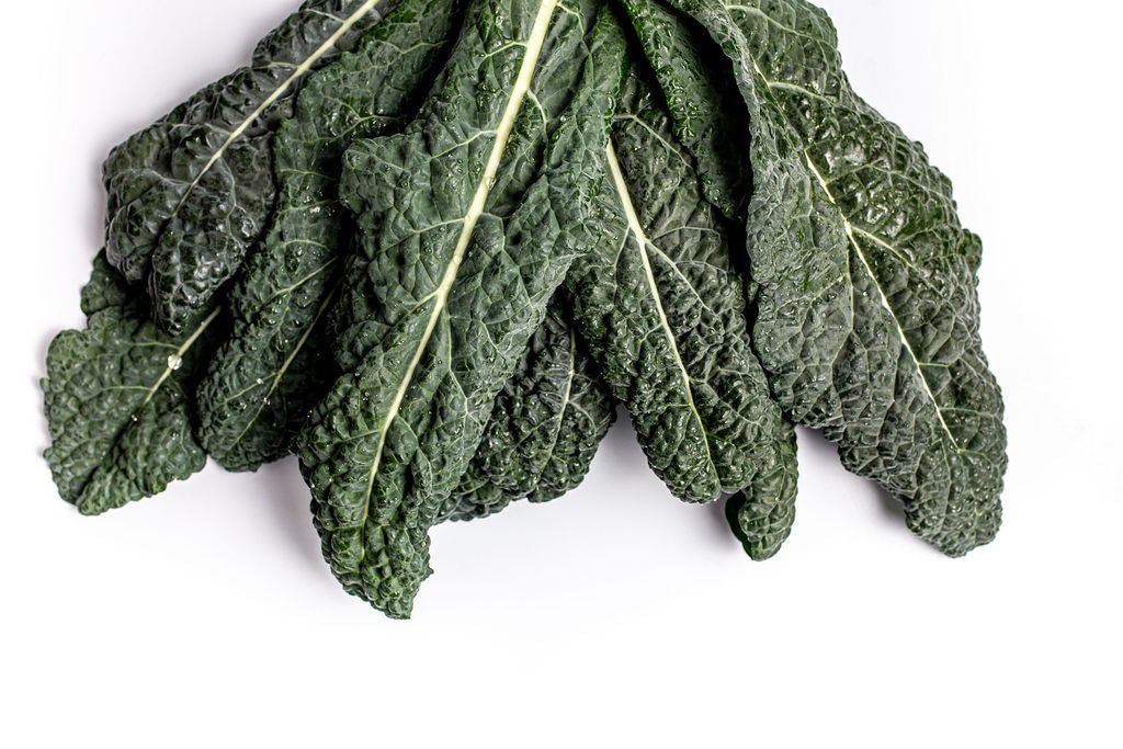 Vibrant Farm Kale