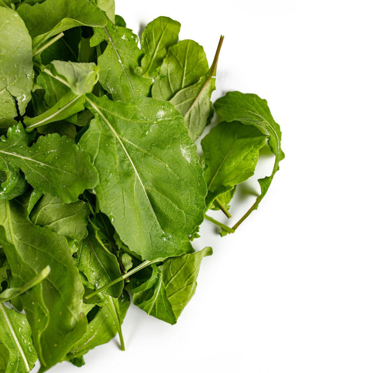 Arugula, baby