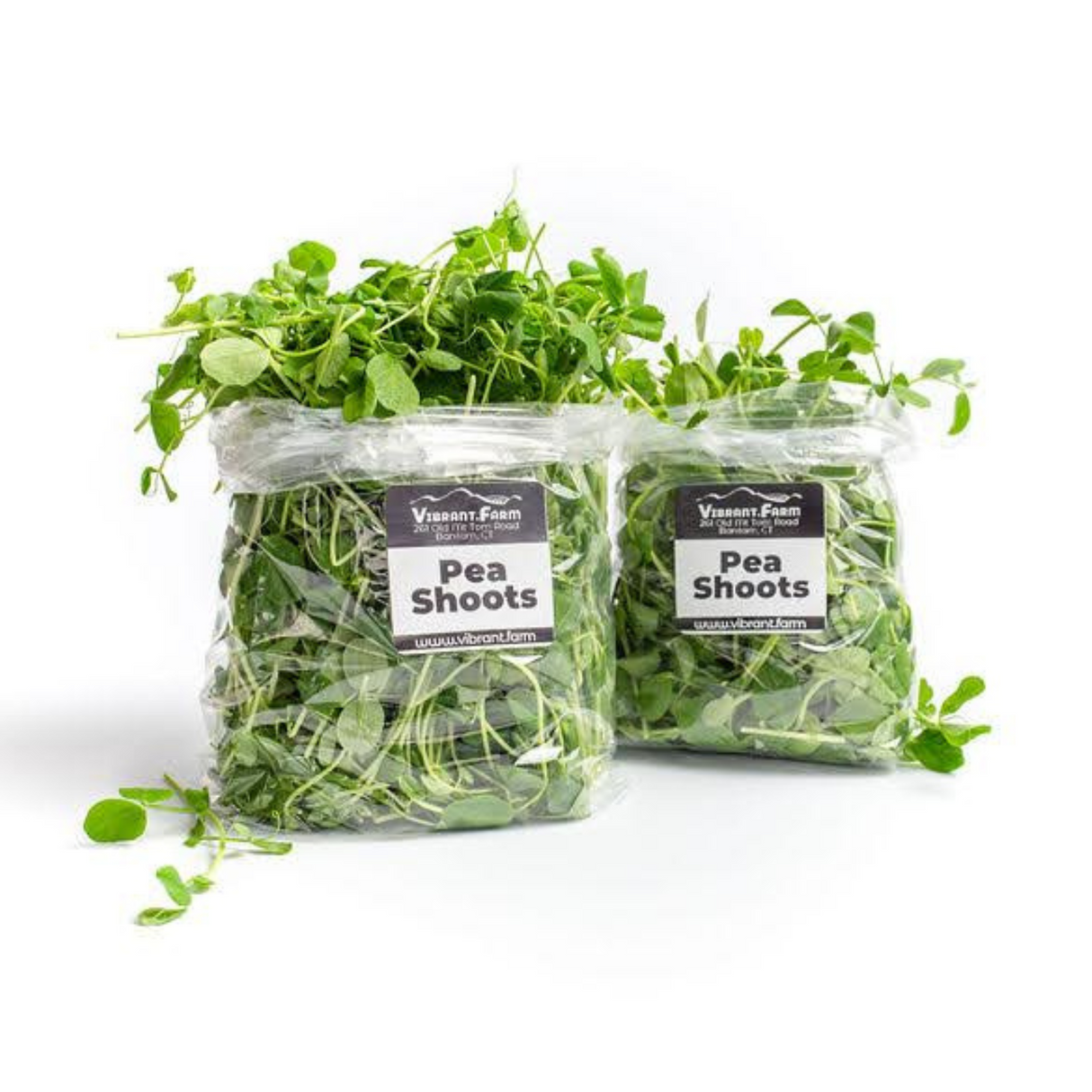 Pea Shoots
