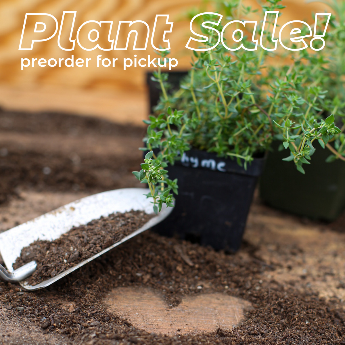 Early May Plant Sale