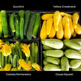 Summer Squash, Zucchini