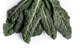 Vibrant Farm Kale 