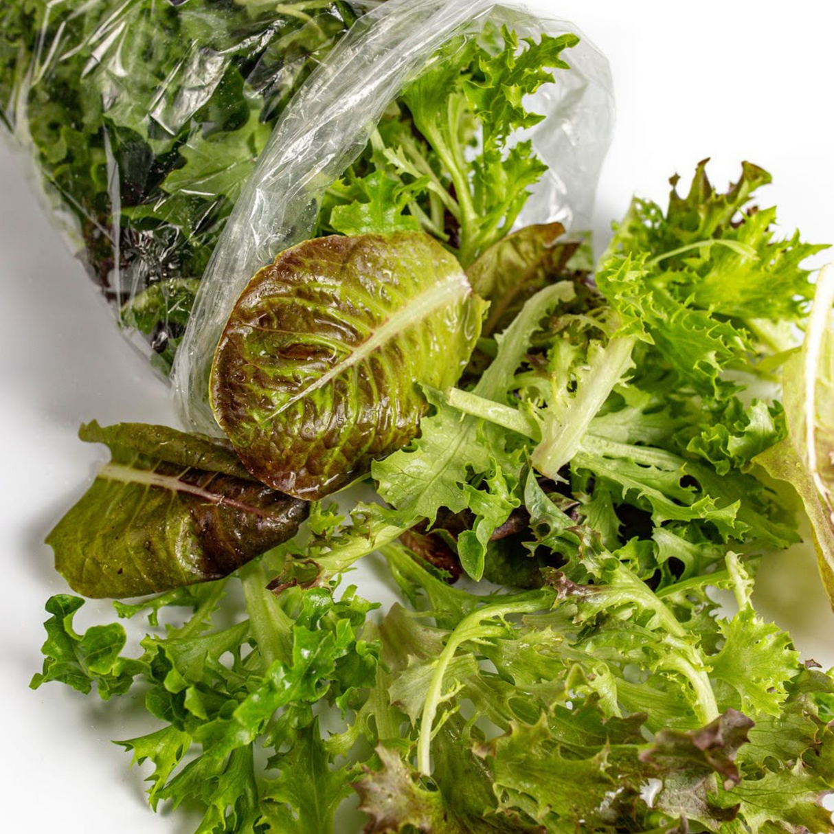 Lettuce Mix