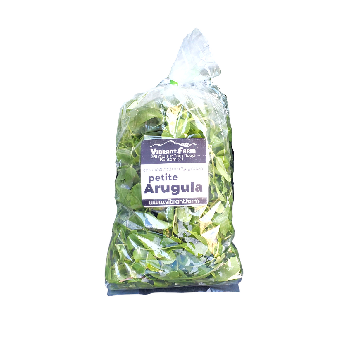 Arugula, micro